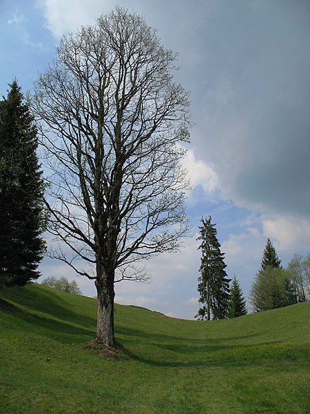 06_bergwanderung_eckbauer_16