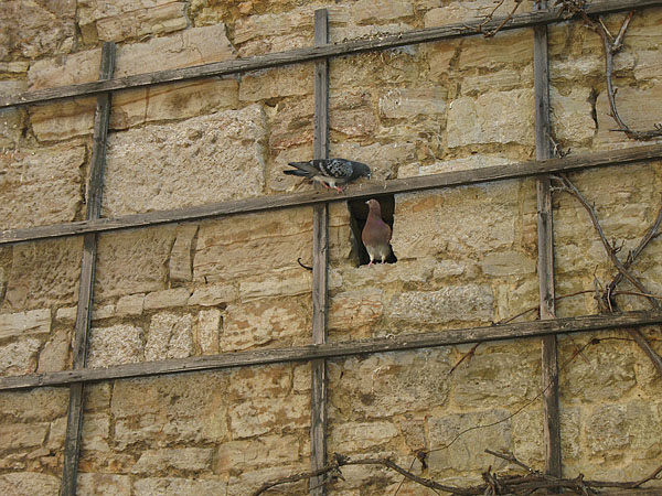 07_rothenburg_023