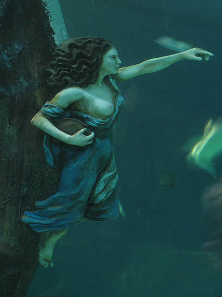 2007_12_12_sealife_oberhausen_02