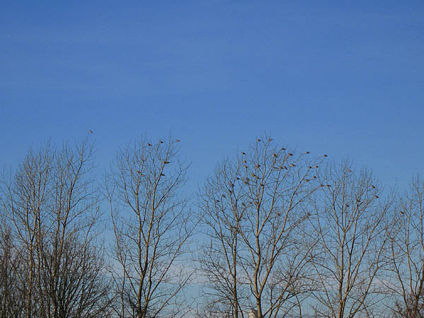 2008_01_13_schiffshebewerk_henrichenburg_01