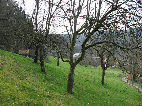 01_marienthal_22