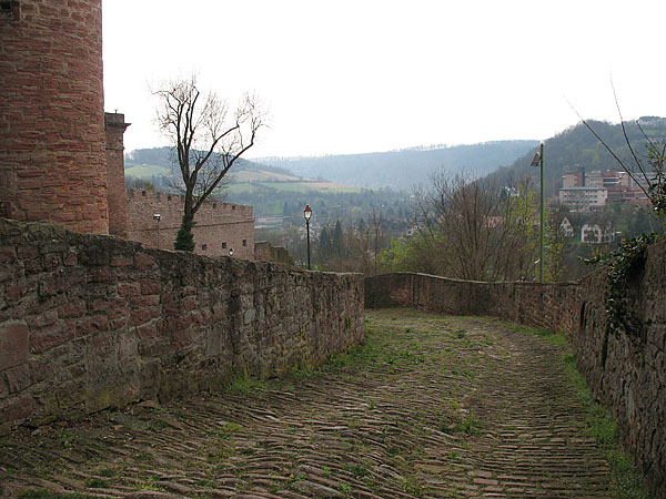 05_wertheim_07