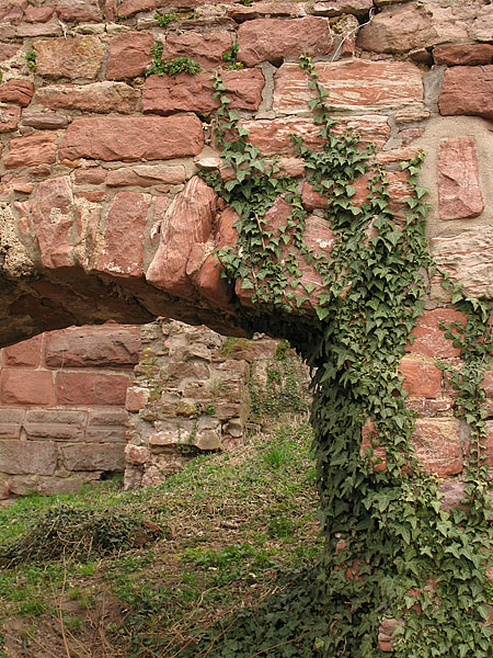 05_wertheim_38