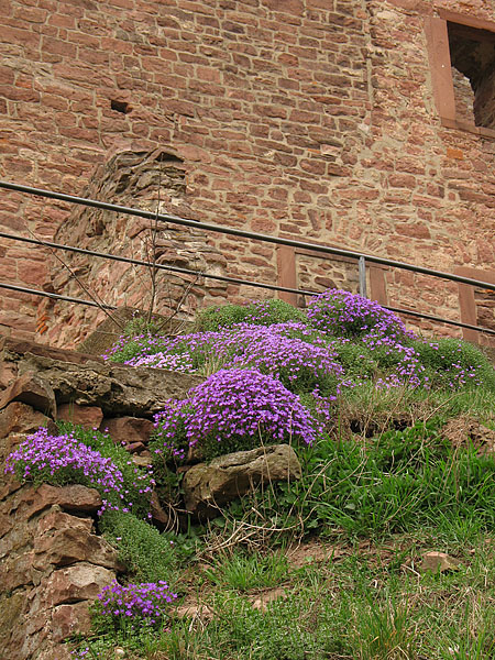 05_wertheim_40