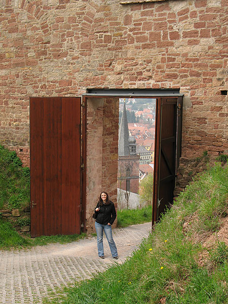 05_wertheim_42