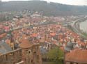 05_wertheim_28