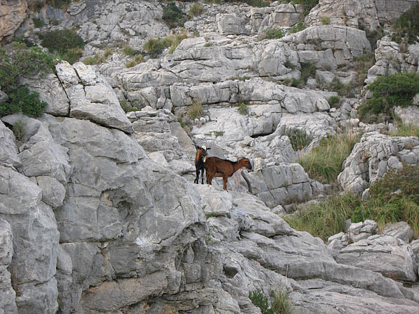 09_sa_calobra_024