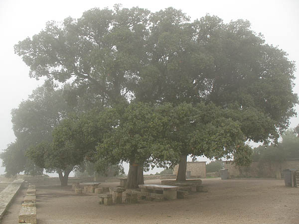 24_puig_de_randa_012