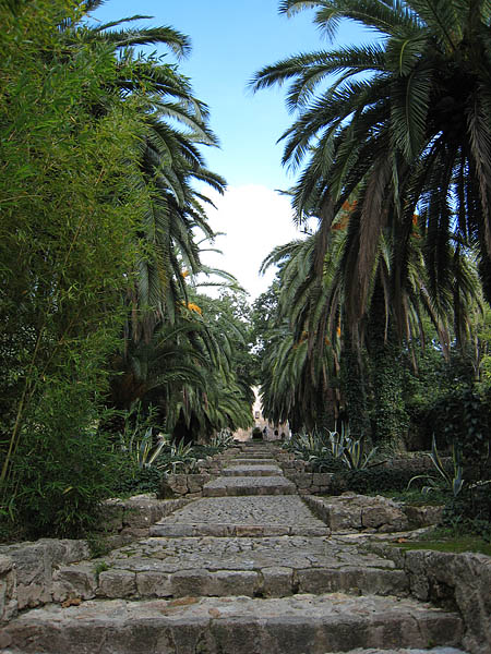 27_alfabia_003