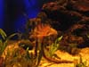 20_palma_aquarium_016