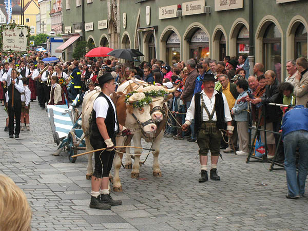 05_straubing_gaeubodenfest_02