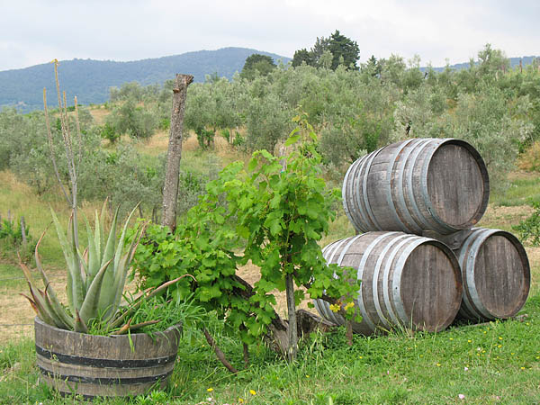 10_corte_di_valle_greve_013