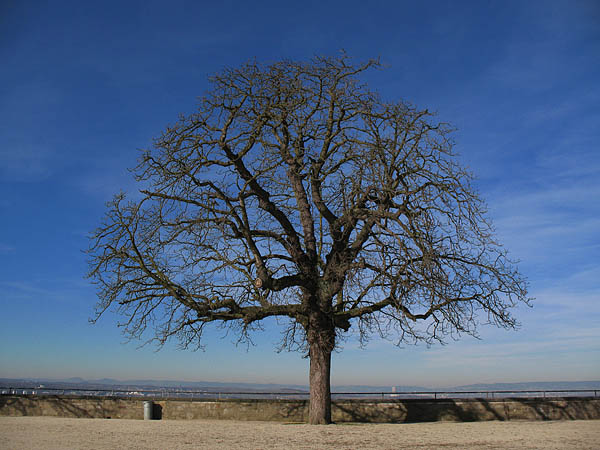 02_ehrenbreitstein_08