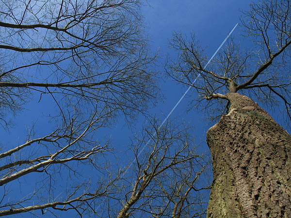 05_burg_stolzenfels_06