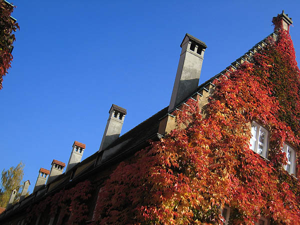 2008_10_11_augsburg_13
