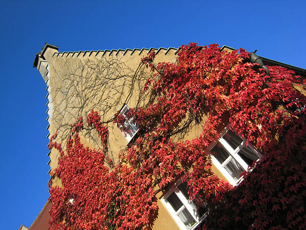 2008_10_11_augsburg_14