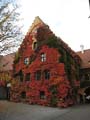 2008_10_11_augsburg_06