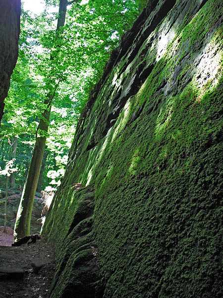 17_luxemburg_mullerthal_32