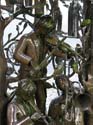 02_trier_handwerkerbrunnen_06