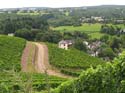 09_trier_weinlehrpfad_03