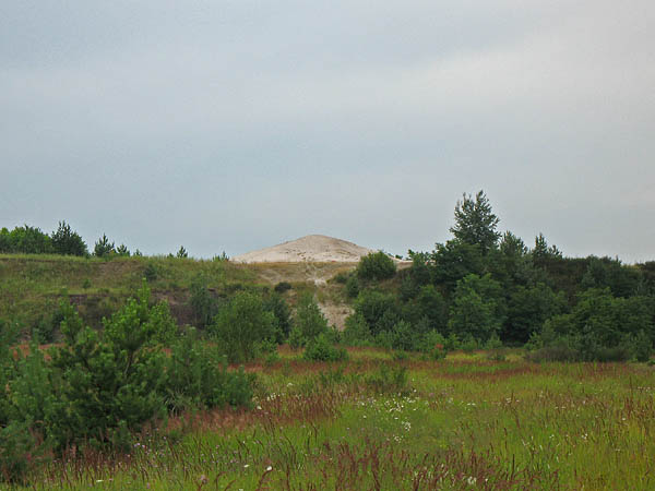 01_gruenhaus_48