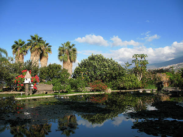 03_puerto_de_la_cruz_038