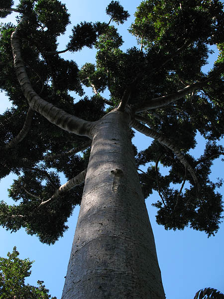 04_jardin_botanico_008