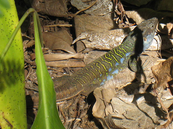 04_jardin_botanico_027