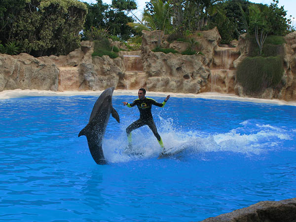 15_loro_parque_040