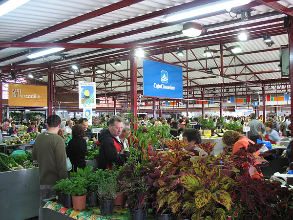 23_mercadillo_de_tacoronte_001