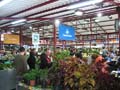 23_mercadillo_de_tacoronte_001