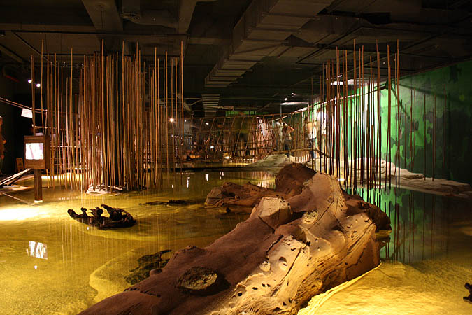 Bremerhaven - Durch den Mangrovenwald in Kamerun 