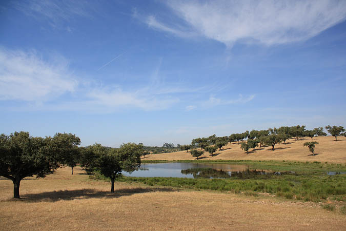 Portugal - Traumhafte Landschaft im Alto Alentejo