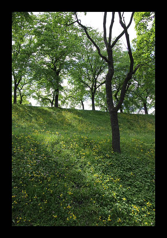 75_oslo_festung_akershus_048