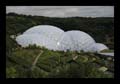 13_eden_project_002