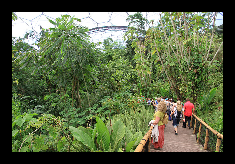13_eden_project_117