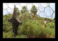 13_eden_project_066