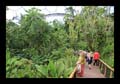 13_eden_project_117