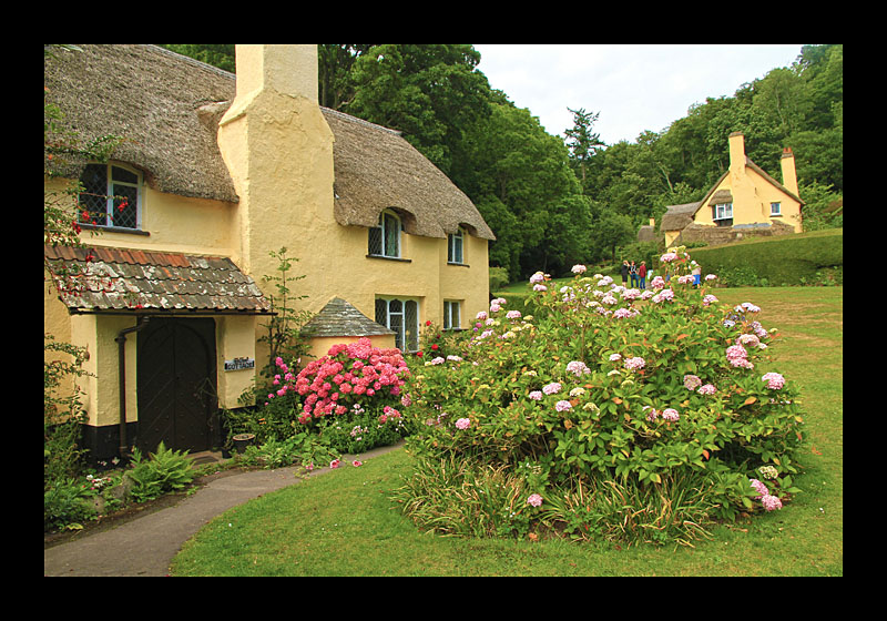 25_selworthy_011