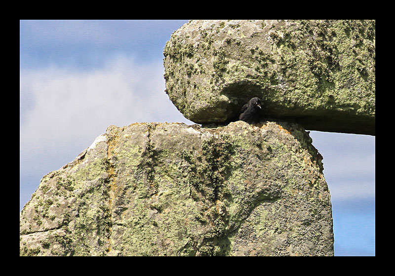 28_stonehenge_078
