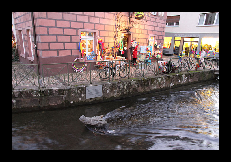 06_freiburg_376