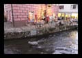 06_freiburg_376