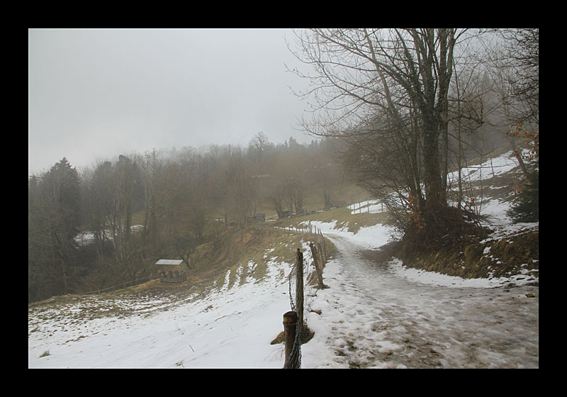 17_pfaender_005