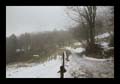17_pfaender_005
