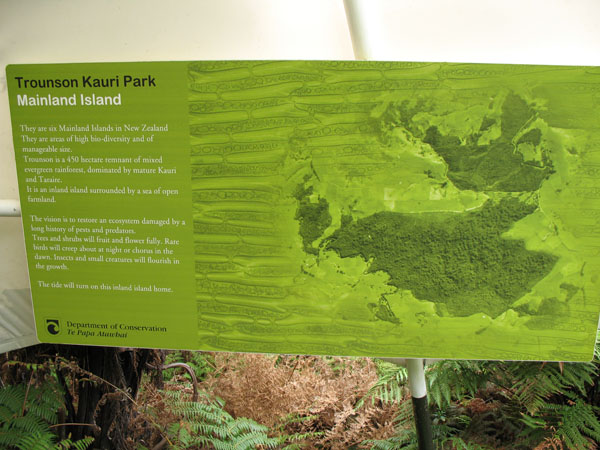 19_kauri_trounson_walk_03_hk