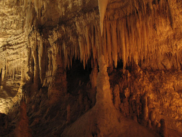 25_waitomo_aranui_cave_20_hk