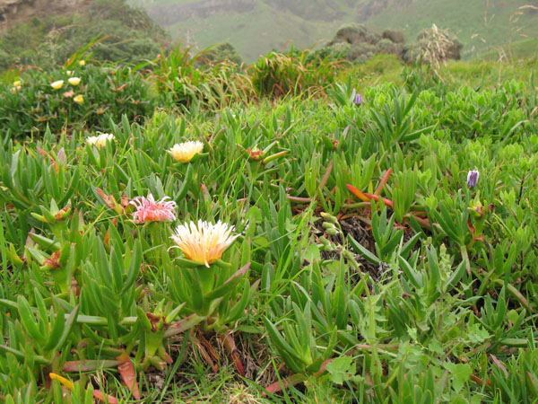 27_mokau_08_hk