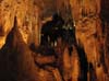 25_waitomo_aranui_cave_19_hk