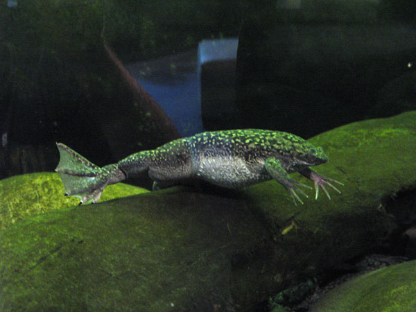 46_napier_aquarium_03_hk