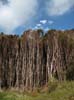 29_mt_taranaki_dawsons_falls_02_hk